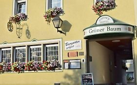 Hotel Gruener Baum
